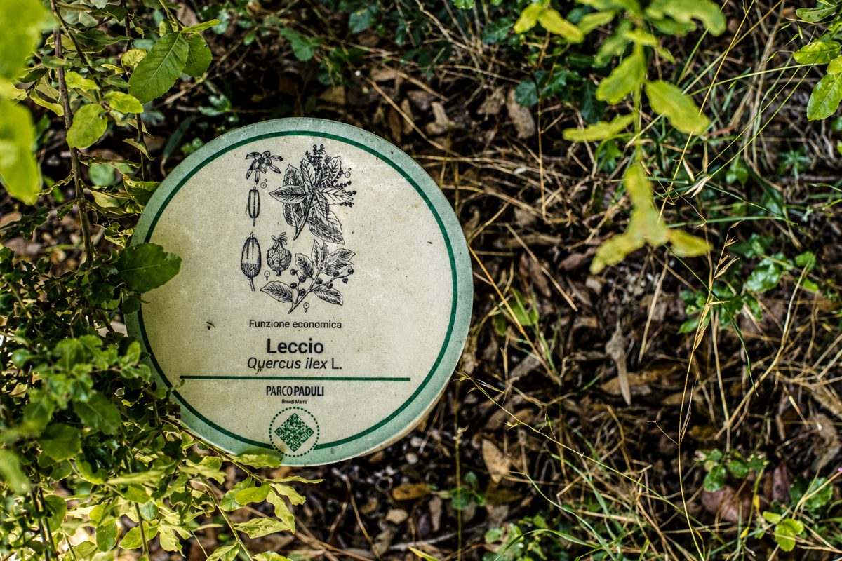 Parco dei Paduli — immagine 2