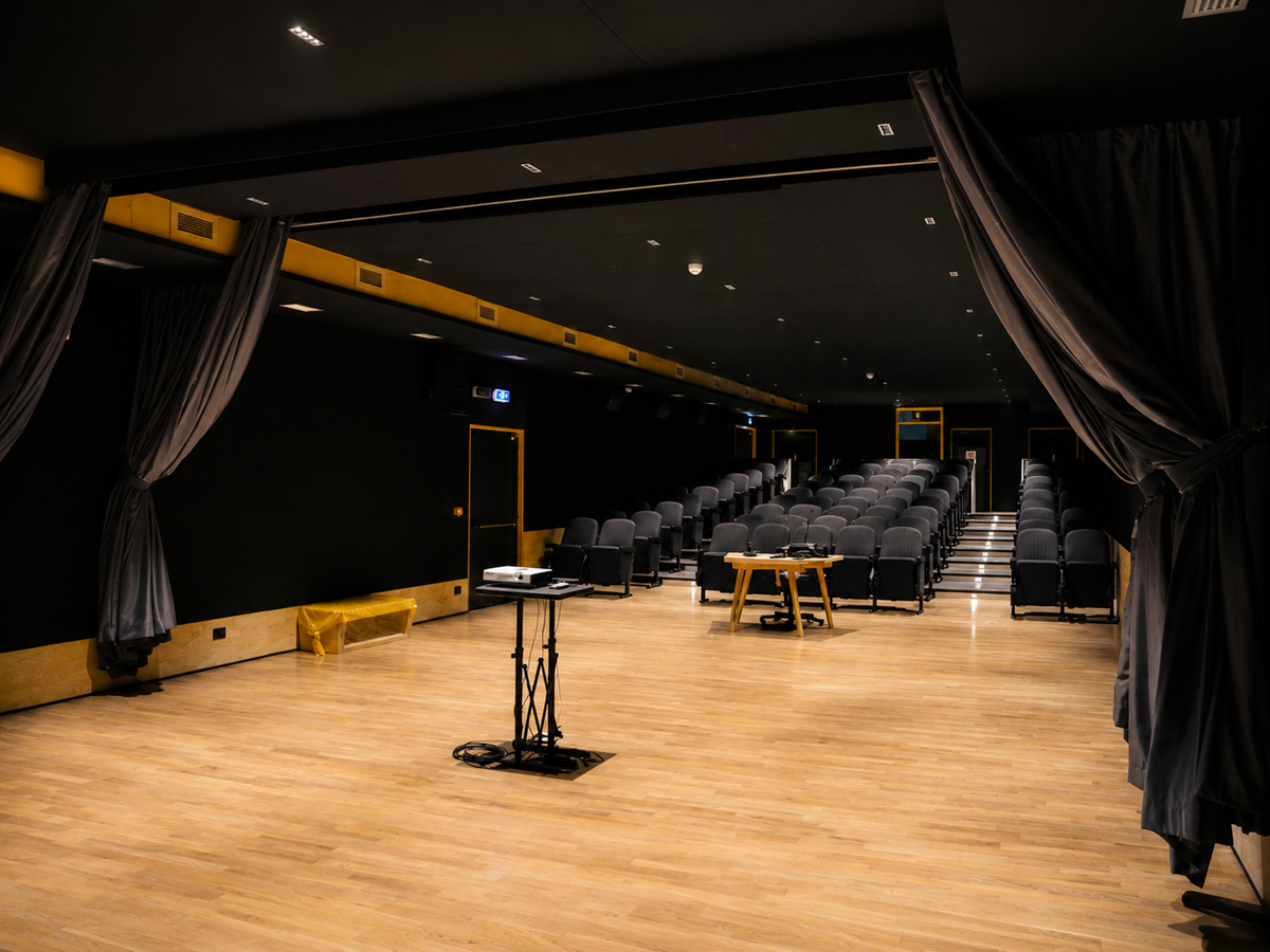 Sala Cinema Bertolucci — immagine 3