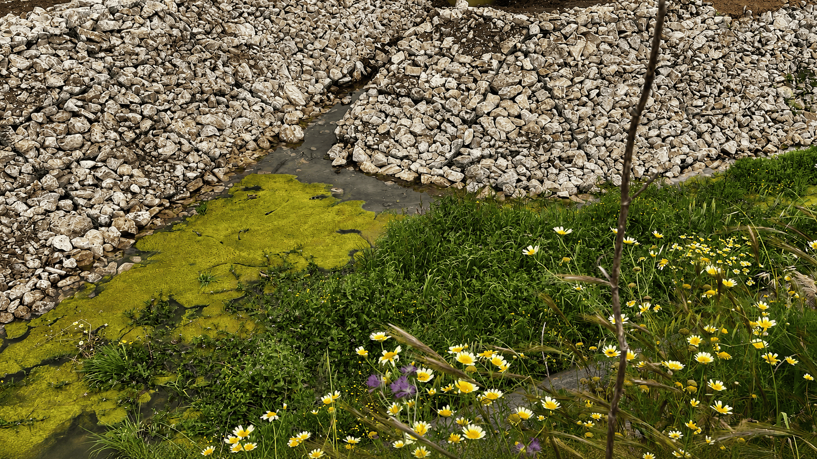 Parco Canale Moccuso, Alliste — immagine 1