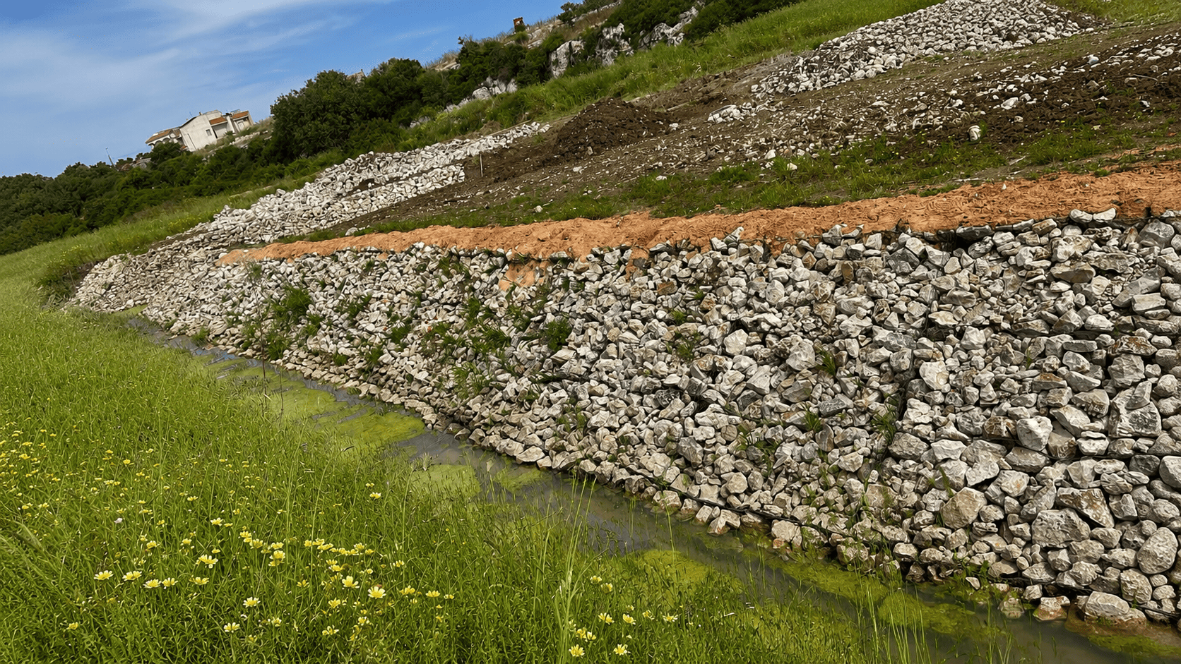 Parco Canale Moccuso, Alliste — immagine 2