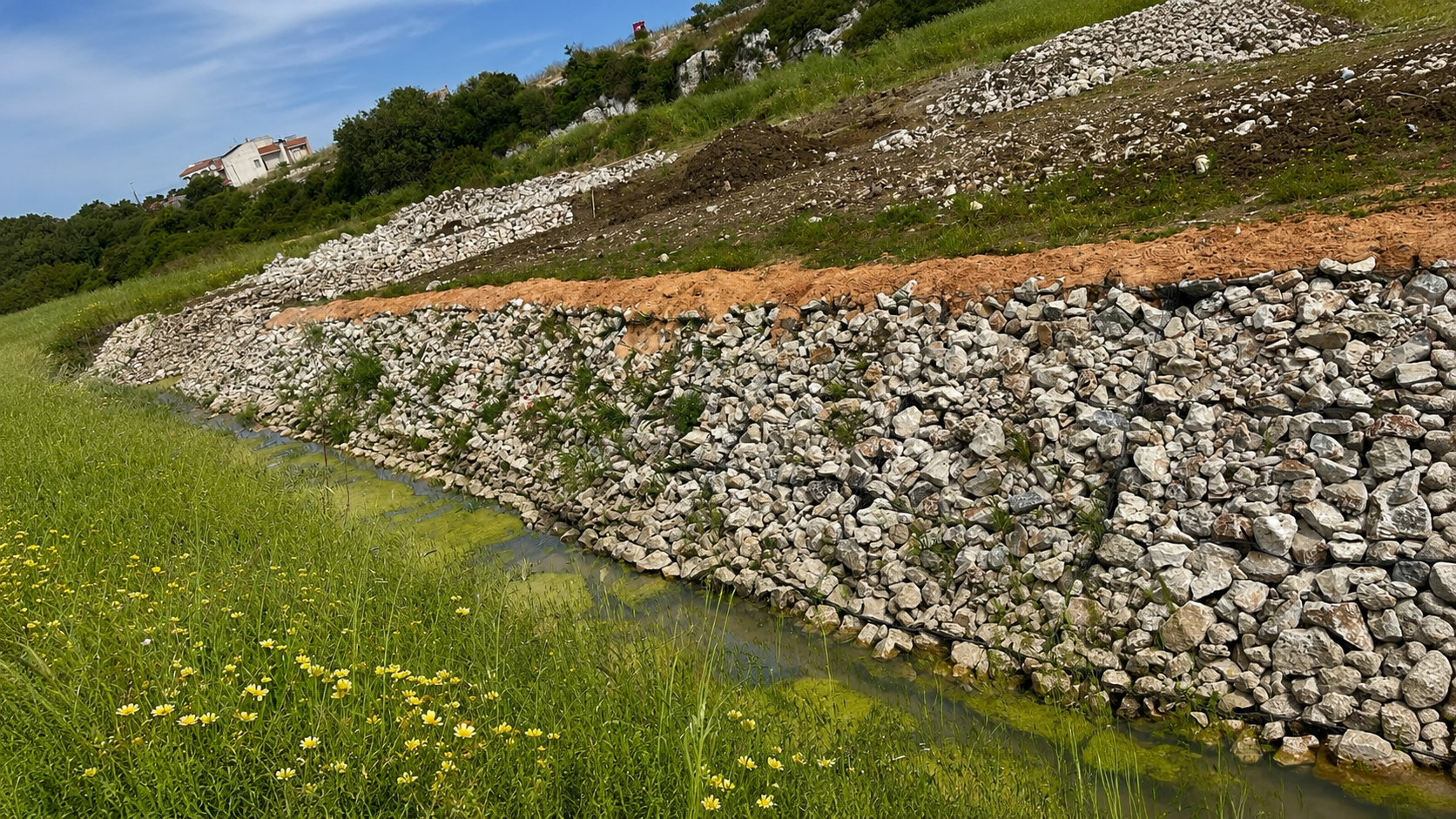 Alliste — Parco Canale Moccuso (2026)